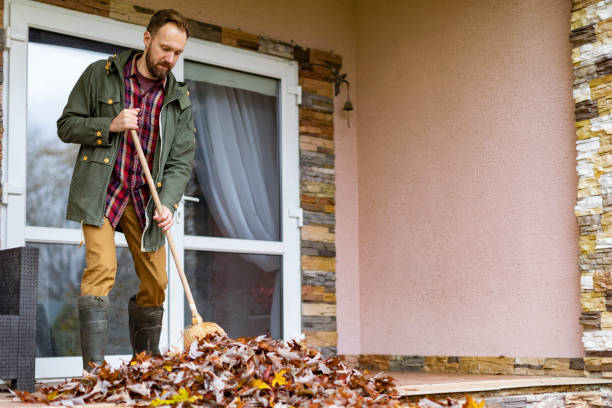 Best Construction Debris Removal  in Warroad, MN