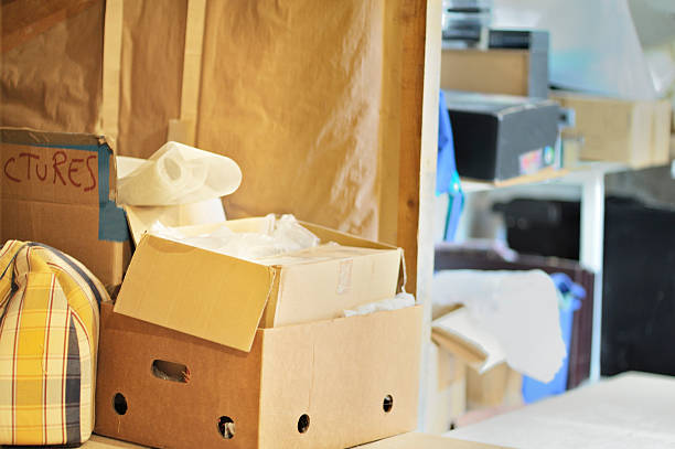 Best Electronics Removal Services  in Warroad, MN